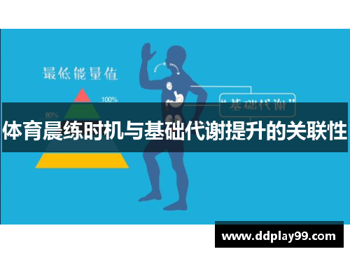 体育晨练时机与基础代谢提升的关联性